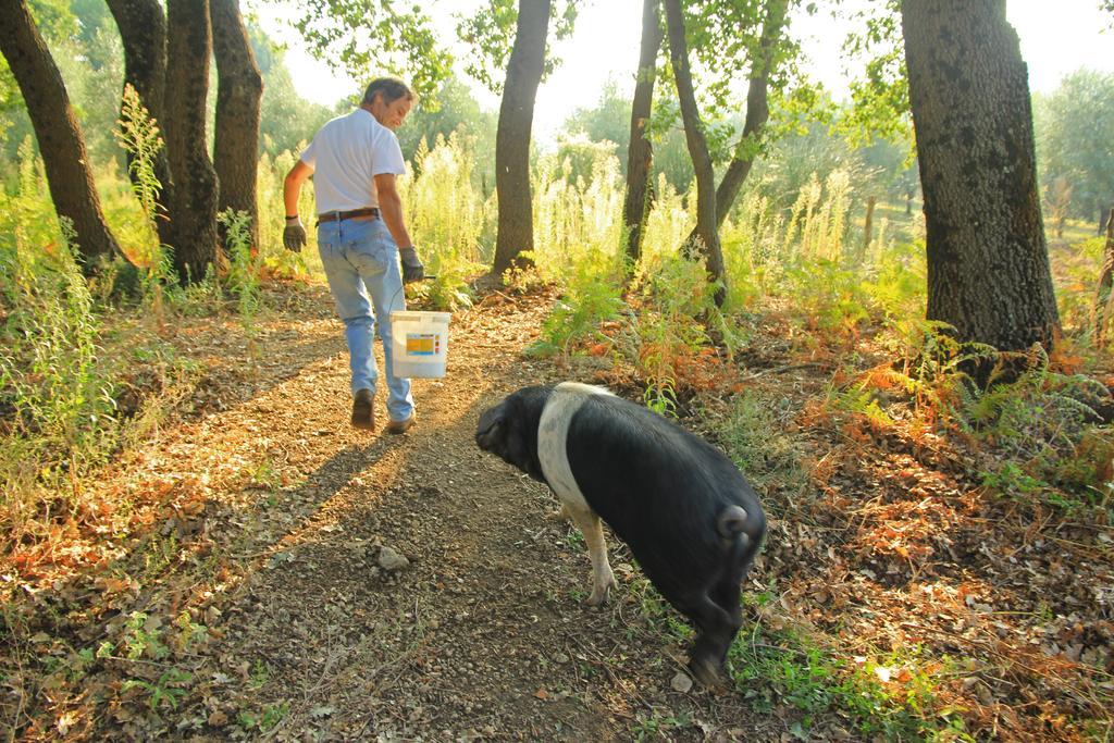 Agriturismo Locanda Pantanello Питиляно Екстериор снимка
